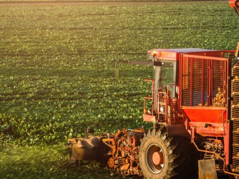 seckin kaucuk 800x600 1 768x576